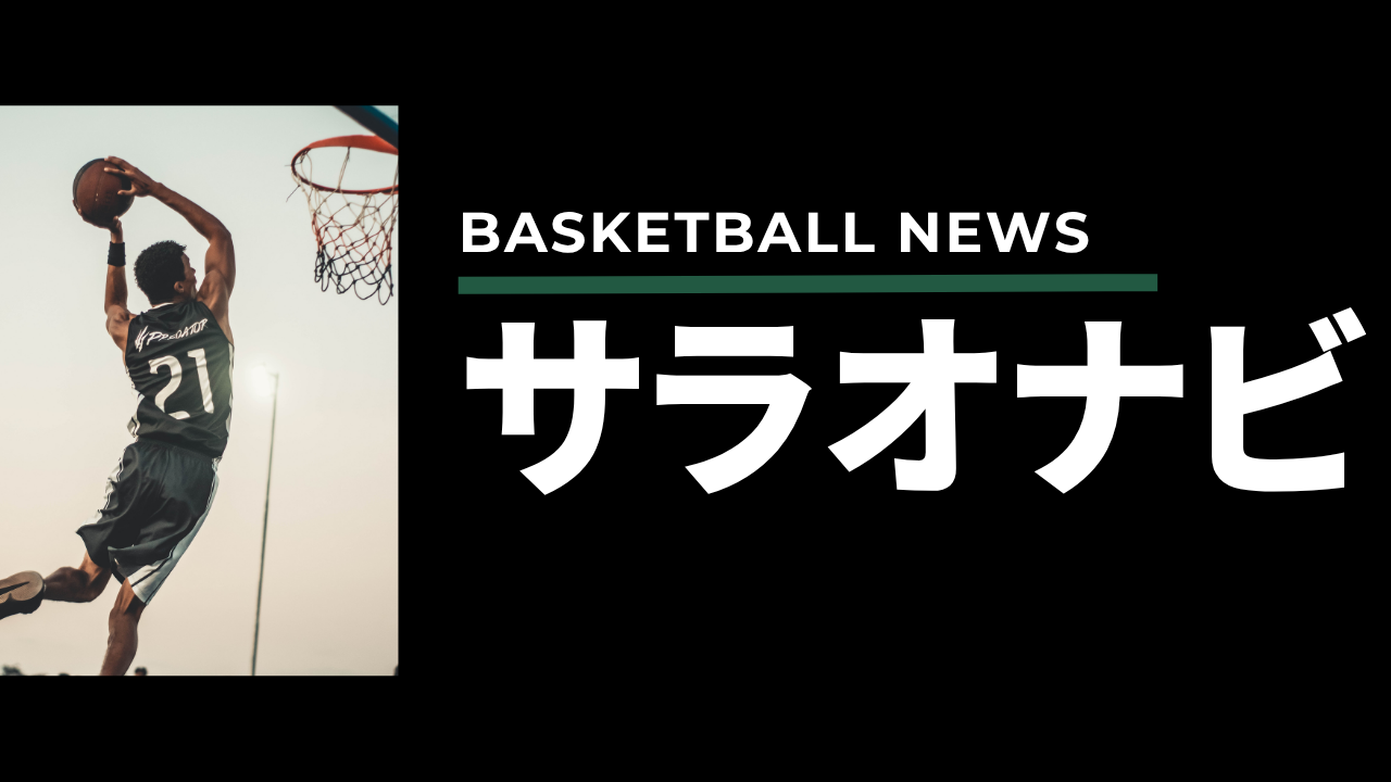 サラオナビ